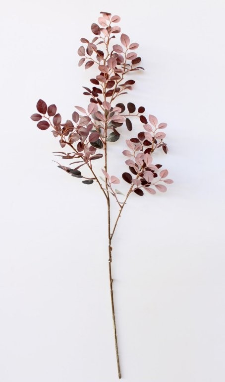 Red Brown Leaf Stem - Min 3